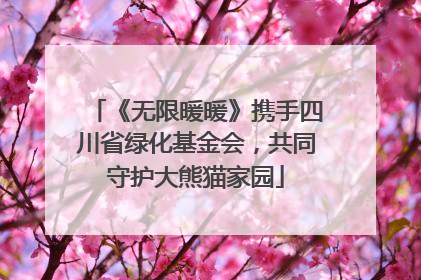《无限暖暖》携手四川省绿化基金会，共同守护大熊猫家园