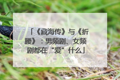《藏海传》与《折腰》：男频剧、女频剧都在“爱”什么