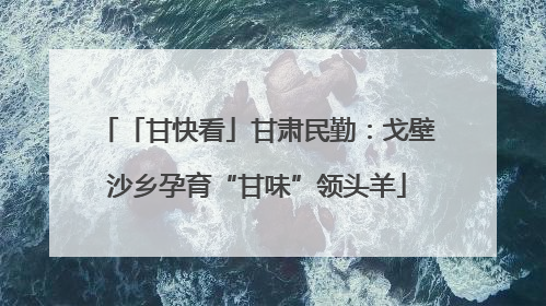 「甘快看」甘肃民勤：戈壁沙乡孕育“甘味”领头羊