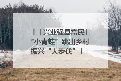 「兴业强县富民」“小青蛙”跳出乡村振兴“大步伐”