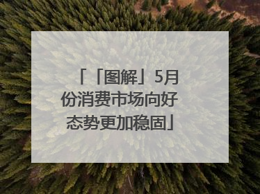 「图解」5月份消费市场向好态势更加稳固