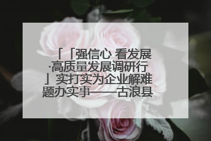 「强信心 看发展·高质量发展调研行」实打实为企业解难题办实事——古浪县优化营商环境助力企业高质量发展见闻