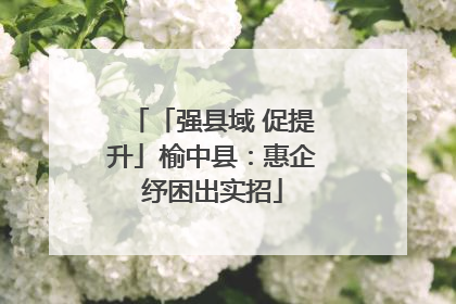 「强县域 促提升」榆中县：惠企纾困出实招