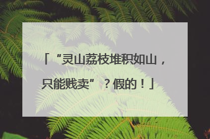 “灵山荔枝堆积如山，只能贱卖”？假的！