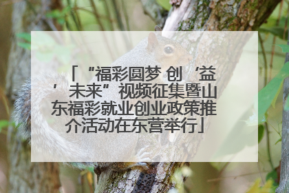 “福彩圆梦 创‘益’未来”视频征集暨山东福彩就业创业政策推介活动在东营举行