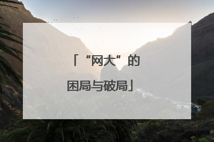 “网大”的困局与破局