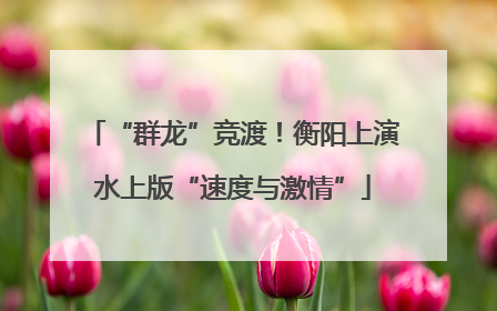 “群龙”竞渡！衡阳上演水上版“速度与激情”