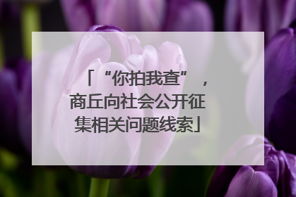 “你拍我查”，商丘向社会公开征集相关问题线索