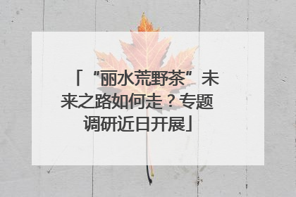 “丽水荒野茶”未来之路如何走？专题调研近日开展