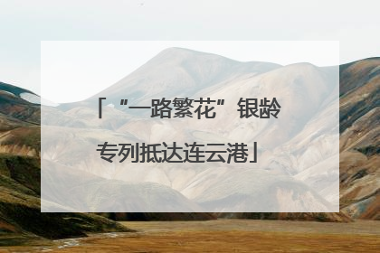 “一路繁花”银龄专列抵达连云港