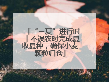 “三夏”进行时丨不误农时完成夏收夏种，确保小麦颗粒归仓