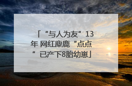 “与人为友”13年 网红麋鹿“点点”已产下8胎幼崽