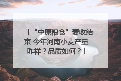 “中原粮仓”麦收结束 今年河南小麦产量咋样？品质如何？
