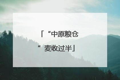 “中原粮仓”麦收过半