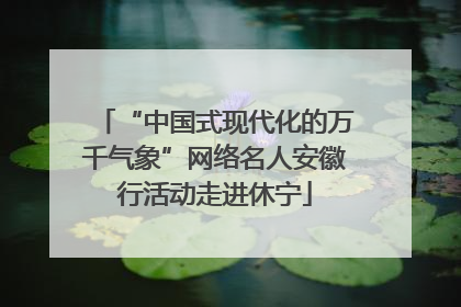 “中国式现代化的万千气象”网络名人安徽行活动走进休宁