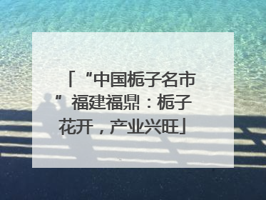 “中国栀子名市”福建福鼎：栀子花开，产业兴旺