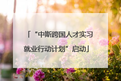 “中斯跨国人才实习就业行动计划”启动