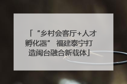 “乡村会客厅+人才孵化器” 福建泰宁打造闽台融合新载体
