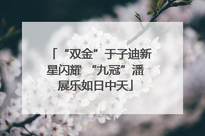 “双金”于子迪新星闪耀 “九冠”潘展乐如日中天