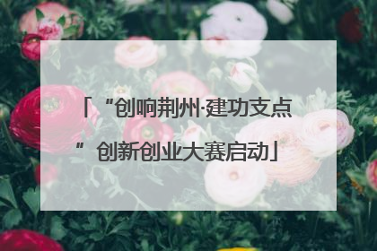 “创响荆州·建功支点”创新创业大赛启动