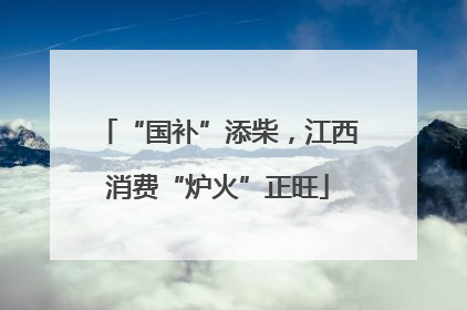 “国补”添柴，江西消费“炉火”正旺