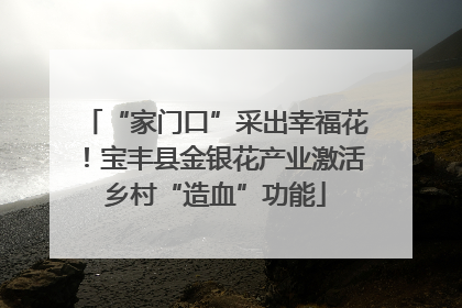 “家门口”采出幸福花！宝丰县金银花产业激活乡村“造血”功能