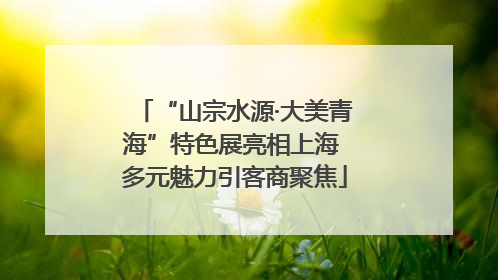 “山宗水源·大美青海”特色展亮相上海 多元魅力引客商聚焦