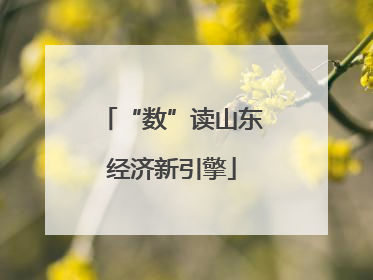 “数”读山东经济新引擎