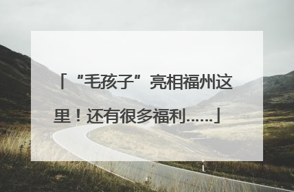 “毛孩子”亮相福州这里！还有很多福利……