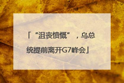 “沮丧愤慨”，乌总统提前离开G7峰会