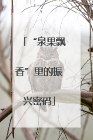 “泉果飘香”里的振兴密码