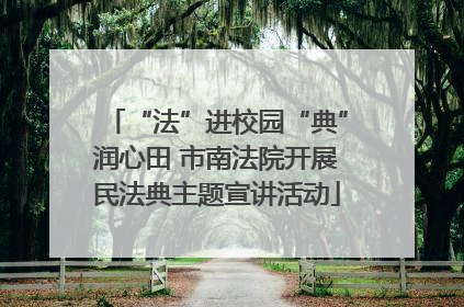 “法”进校园“典”润心田 市南法院开展民法典主题宣讲活动