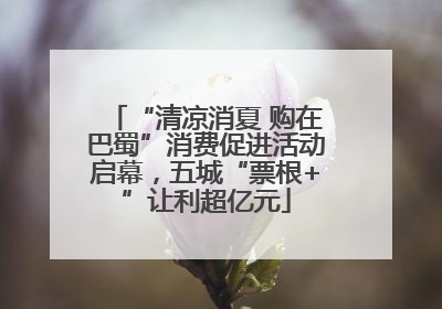 “清凉消夏 购在巴蜀”消费促进活动启幕，五城“票根+”让利超亿元