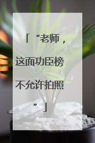 “老师，这面功臣榜不允许拍照”