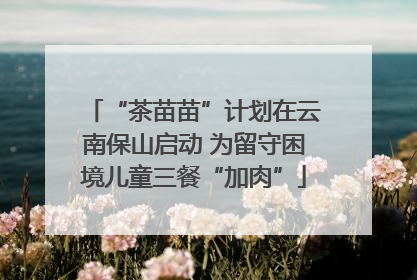 “茶苗苗”计划在云南保山启动 为留守困境儿童三餐“加肉”