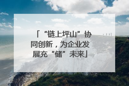 “链上坪山”协同创新，为企业发展充“储”未来