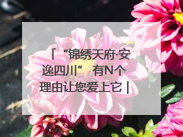 “锦绣天府·安逸四川” 有N个理由让您爱上它｜新闻发布最前线
