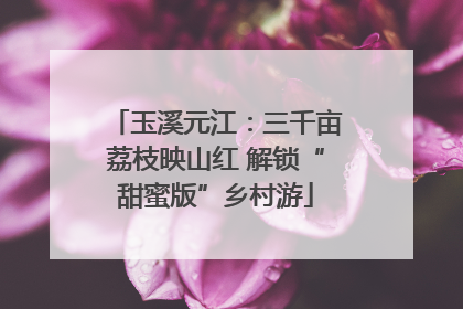 玉溪元江：三千亩荔枝映山红 解锁“甜蜜版”乡村游
