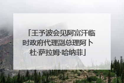 王予波会见阿富汗临时政府代理副总理阿卜杜·萨拉姆·哈纳菲
