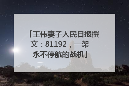 王伟妻子人民日报撰文：81192，一架永不停航的战机