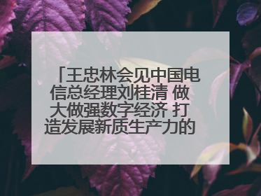 王忠林会见中国电信总经理刘桂清 做大做强数字经济 打造发展新质生产力的强劲引擎