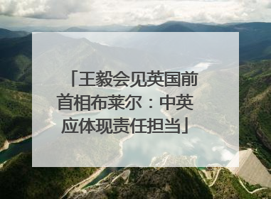 王毅会见英国前首相布莱尔：中英应体现责任担当