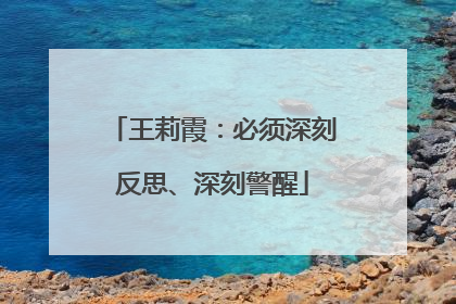 王莉霞：必须深刻反思、深刻警醒