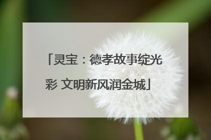 灵宝：德孝故事绽光彩 文明新风润金城