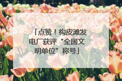 点赞！构皮滩发电厂获评“全国文明单位”称号