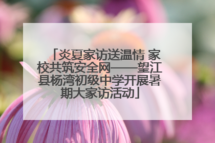 炎夏家访送温情 家校共筑安全网——望江县杨湾初级中学开展暑期大家访活动