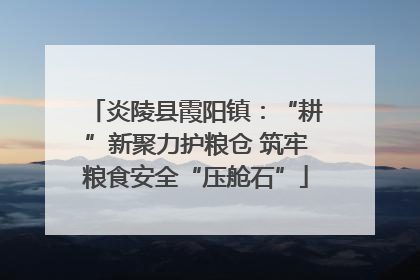 炎陵县霞阳镇：“耕”新聚力护粮仓 筑牢粮食安全“压舱石”