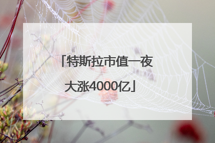特斯拉市值一夜大涨4000亿