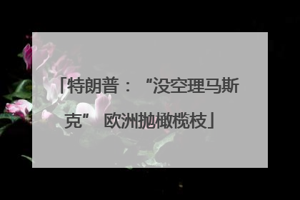 特朗普：“没空理马斯克” 欧洲抛橄榄枝