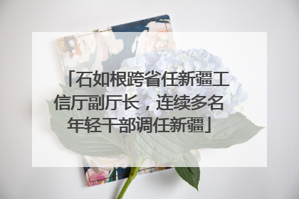 石如根跨省任新疆工信厅副厅长，连续多名年轻干部调任新疆